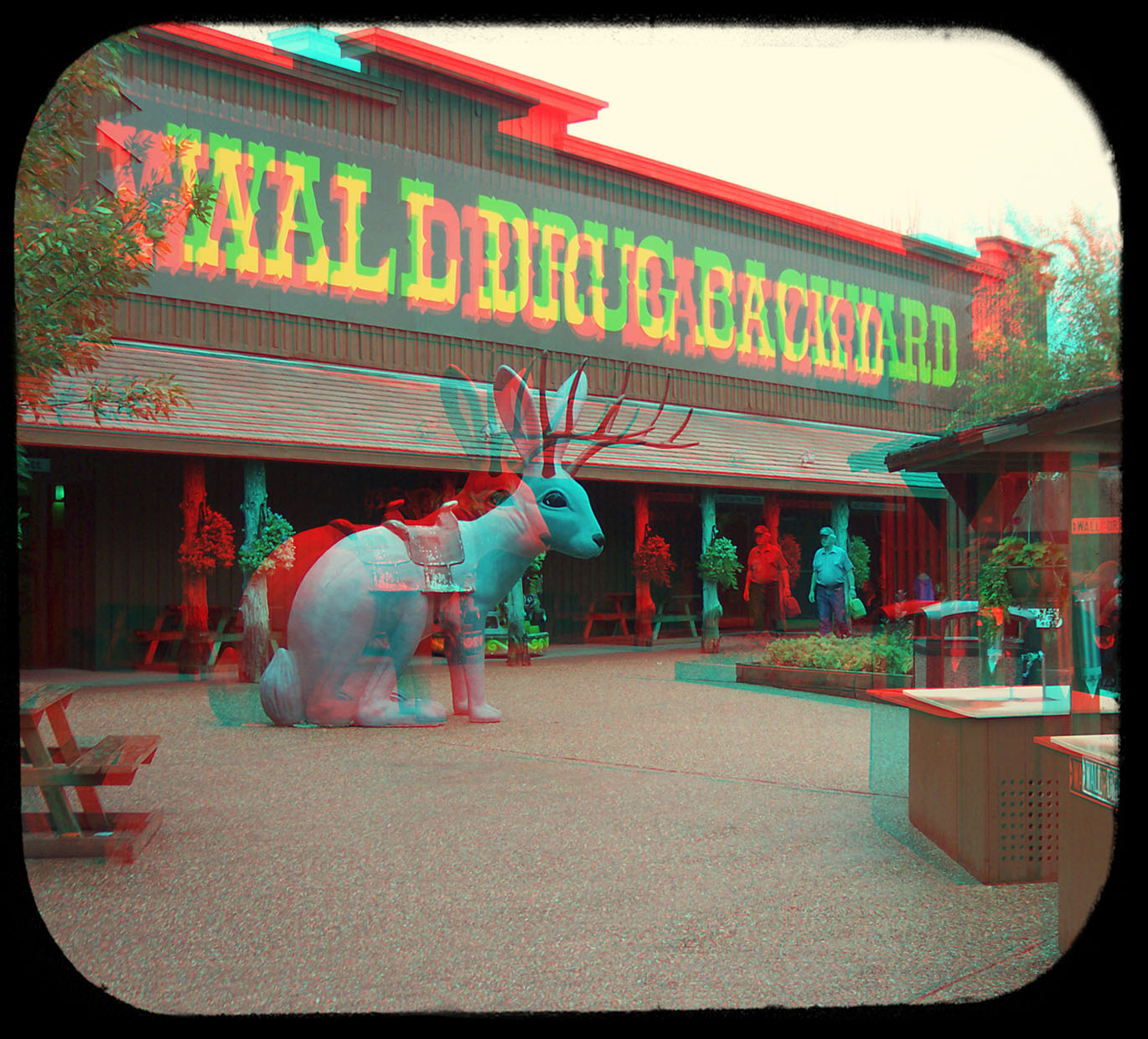 walldrugbackyardrabbit_a