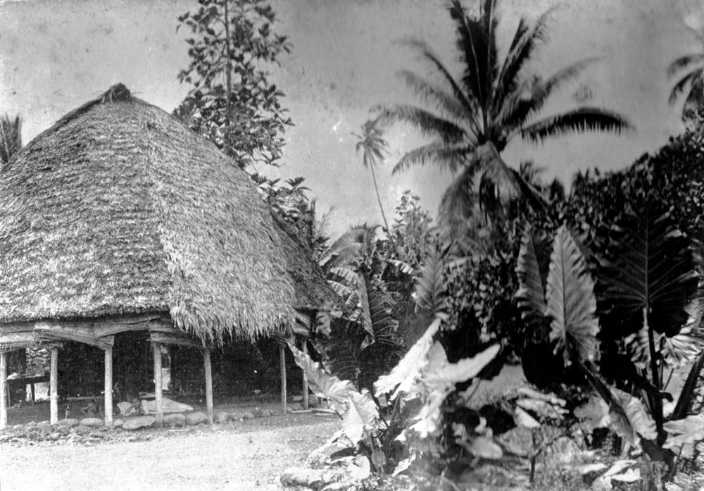 Nature grass house