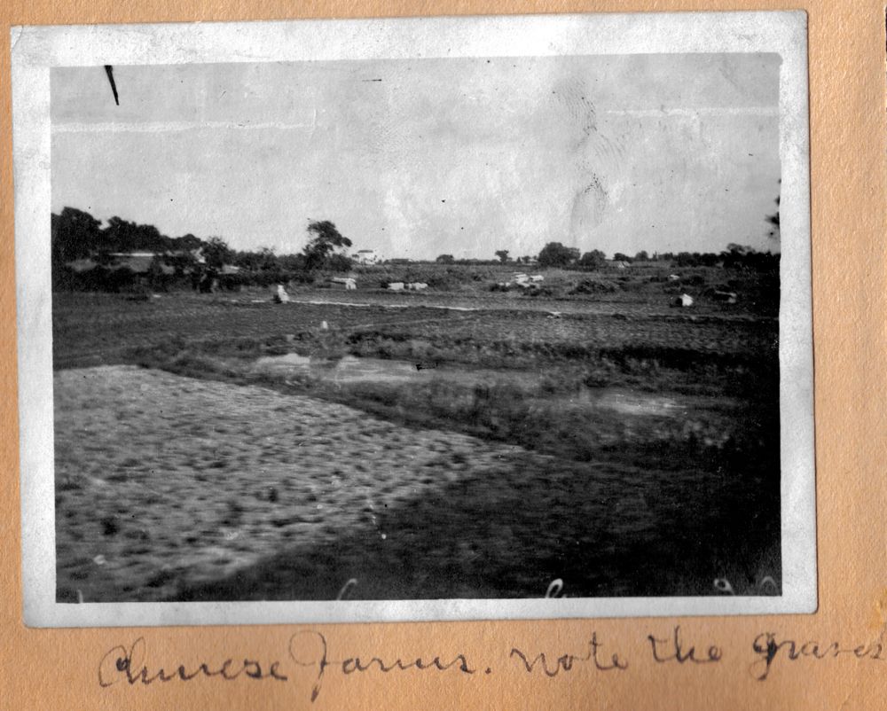 Chinese farms Note The Graves